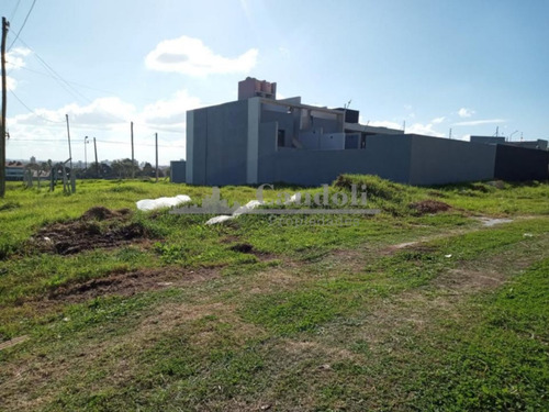 Lote En Venta Barrio San Carlos
