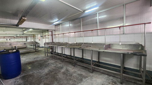 Venta Fabrica De Pescado En El Puerto