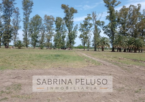 Venta Lote/terreno Plomer