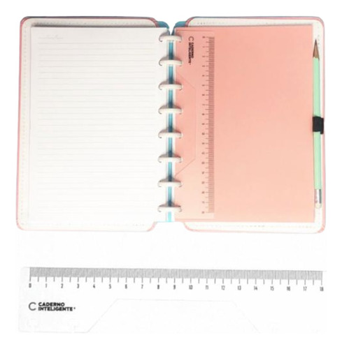 Regla Plástica 18 Cm Para Cuaderno Inteligente Color Regla Cuaderno Inteligente