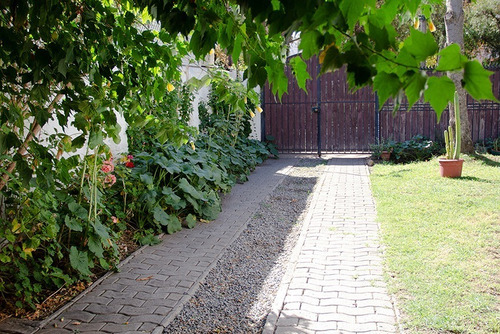 Estupenda Casa 4d 3b Patio M De T Zambrano/príncipe De Gales