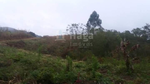 Imagem 4 de 10 de Chácara À Venda Em Vidal Ramos/sc - 1454c