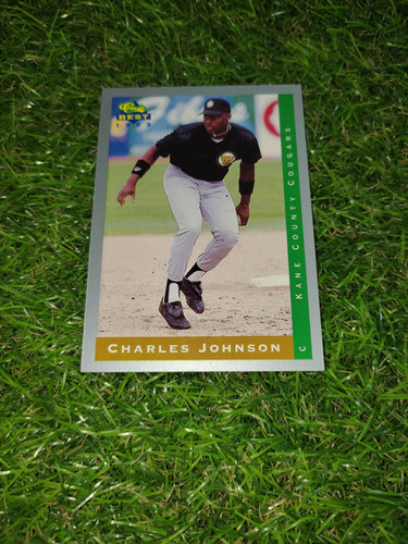 Cv Charles Johnson Ligas Menores Classic Best 1993