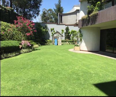 Pent- Garden, Col. Lomas De Chapultepec