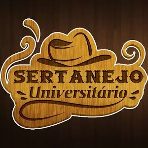 Sertanejo Universitários, 2020, Rock, Forró 8 Dvds Karaoke