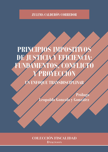 Principios Impositivos De Justicia Y Eficiencia