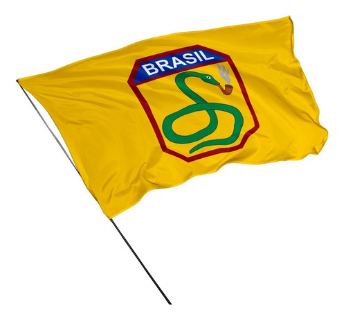 Bandeira Força Expedicionária Brasileira Feb 1,0m X 70cm Cor