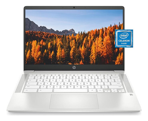 Laptop Hp Chromebook   Intel Celeron N4020 4gb Ram 32gb Emmc