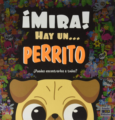 Libro Mira Hay Un Perrito - Vv.aa.