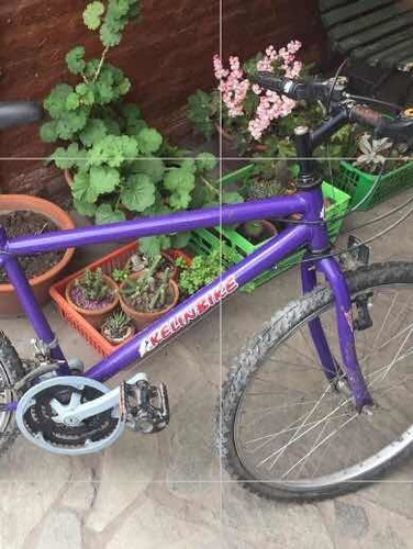 Bicicleta Mountain Bike. 18 Cambios. Rodado 24