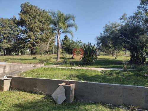Imagem 7 de 14 de Sítio Com 4 Dormitórios À Venda, 2000 M² Por R$ 170.000 - Morungava - Gravataí/rio Grande Do Sul - Si0042