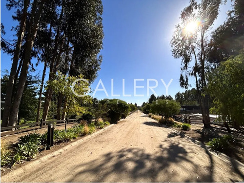 Último Sitio En Venta Condominio Parque Maitencillo