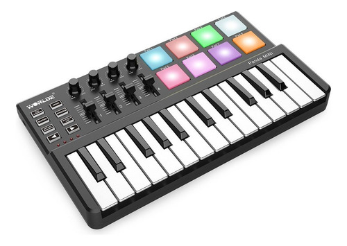 Teclado Midi Worlde Panda Pequeño Portátil Con Usb