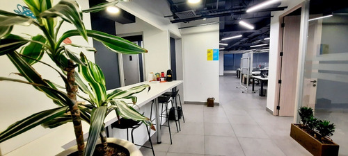 Imagen 3 de 29 de Atencion 6 Privados + 30 Islas De Trabajo - Amobladas 250m2