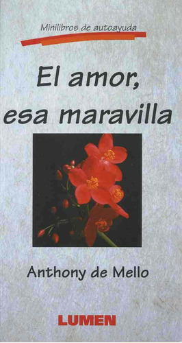 El Amor, Esa Maravilla