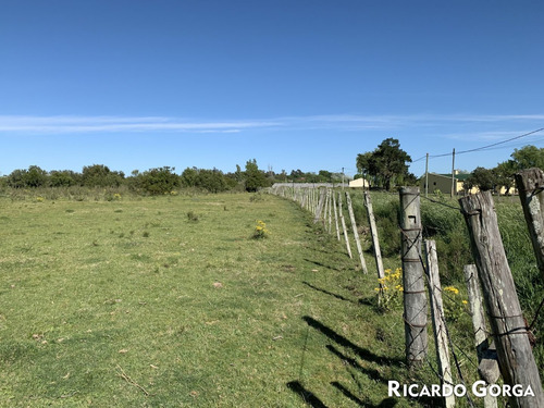 Venta Chacra Terreno Campo Canelones Villa Guadalupe Ruta 5