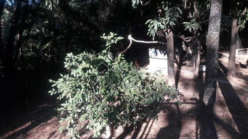 Imagem 14 de 30 de Chácara À Venda Em Vale Verde - Ch007501