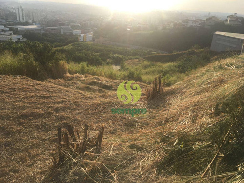 Imagem 9 de 15 de Terreno Para Alugar, 1200 M² Por R$ 2.000,00/mês - Estoril - Belo Horizonte/mg - Te0041