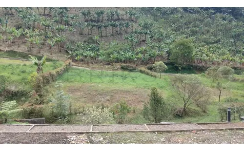 Lote En Venta En Jardín. Cod V50913