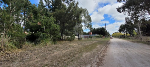 Venta Lote Terreno En San Bernardo 995 M2 Barrio Residencial