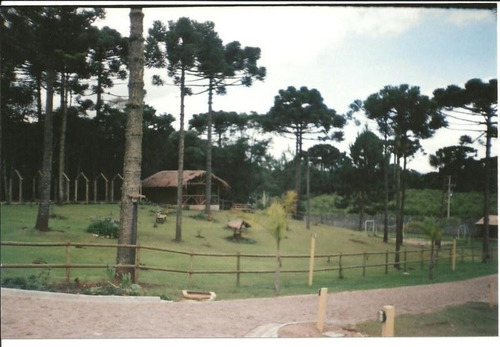 Chácara Rural À Venda, Campina, São José Dos Pinhais - Ch0001. - Ch0001