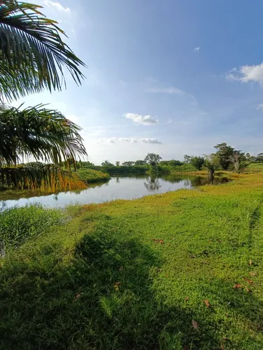 Lote Campestre Cerca De Monteria Cordoba
