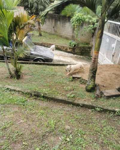 Chacara Em São Lourenço Da Serra Bairro Fazenda Vitória