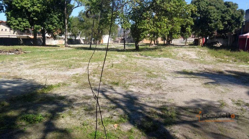 Imagem 5 de 10 de Terreno, 6000 M² - Venda Por R$ 4.000.000 Ou Aluguel Por R$ 25.000/mês - Taquara. - Te0024