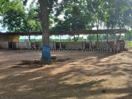 Imagen 8 de 12 de Finca Venta El Rastro Guarico Rolando Rodriguez Codg 23-2723