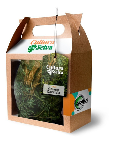 Tela Raso, Rinconcito- Gabriela Celano - Cultura De La Selva