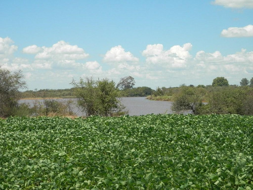 Estancia Isla Vizcaino 1569ha Ganadero Agricola Rio Negro Y Rio Uruguay