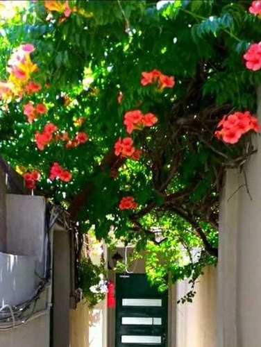 Imagen 3 de 15 de Alquiler Monoambiente Sin Garantía Caba