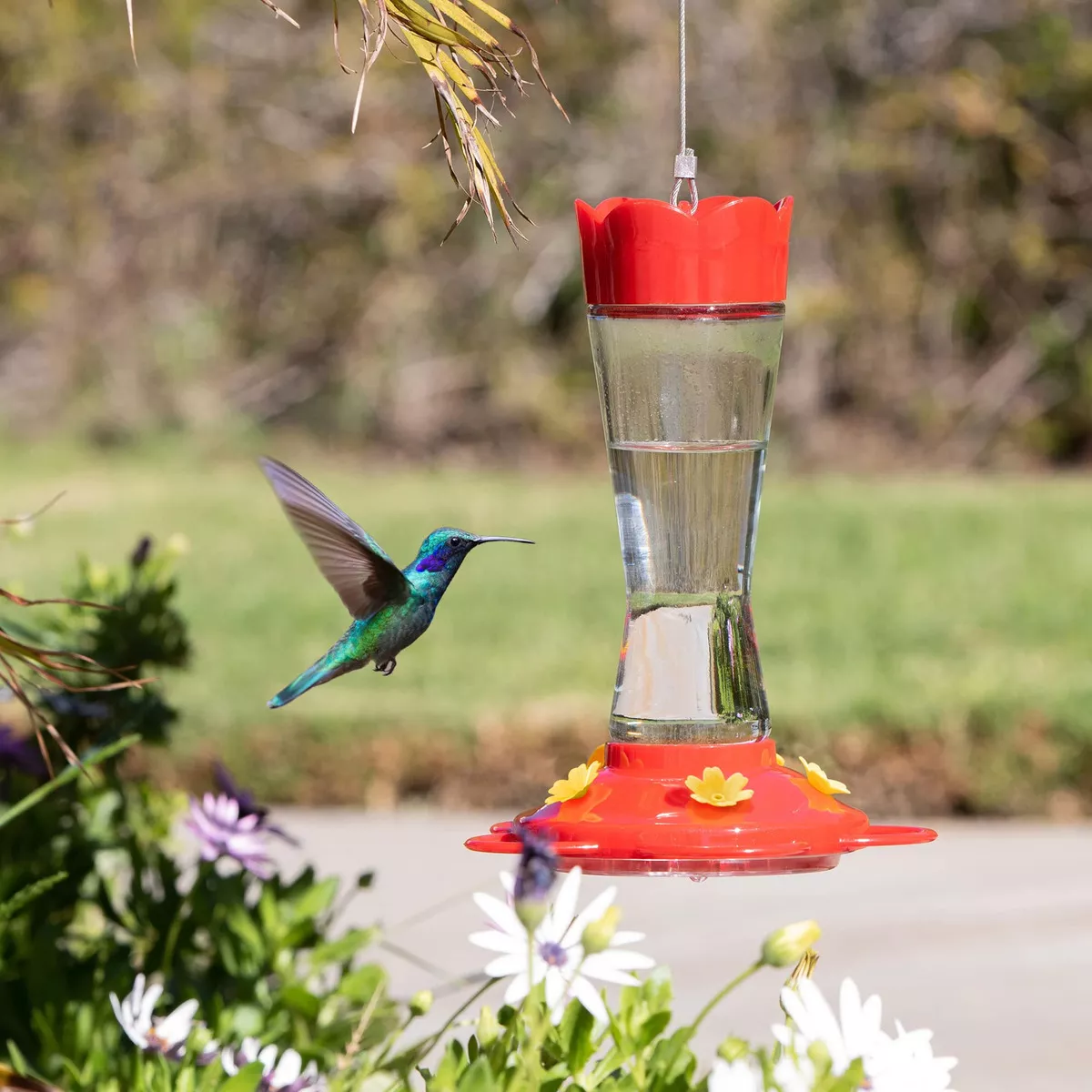 Segunda imagen para búsqueda de bebederos colibri