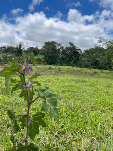 Imagem 9 de 24 de M01- Oportunidade De Ter Sua Casa No Campo