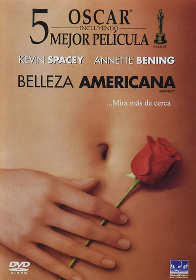 Belleza Americana Dvd | MercadoLibre ?