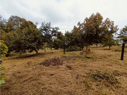 Se Venden Lotes En Quimbaya - Quindío