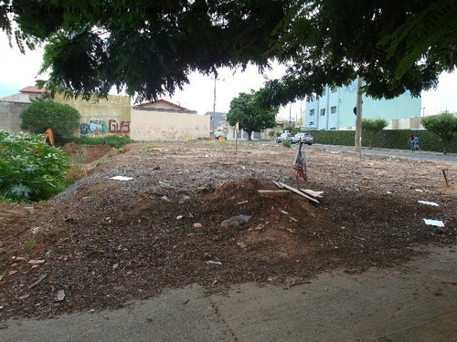 Imagem 4 de 4 de Terreno, 596 M² - Venda Por R$ 1.000.000,00 Ou Aluguel Por R$ 2.000,00 - Jardim Regina - Indaiatuba/sp - Te2249