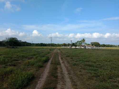 Venta Rancho 100 Has Frente A La Laguna De Tamiahua Veracruz