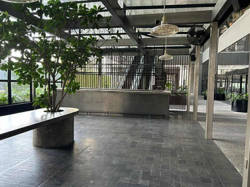 Local Comercial En Renta, Américas, 281 M2