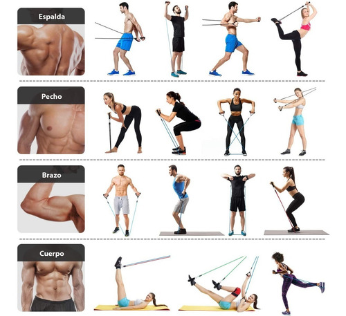 5 Ligas De Resistencia Ejercicios Ligas Elásticas Crossfit