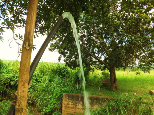 Dc224456 En Venta Hermosa Finca En Los Chaguaramos, Sabaneta Norte - Montalbán Carabobo