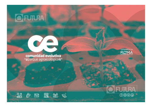Imagen 2 de 10 de Comunidad Evolutiva, Barrio Prosumidor - Pueblo Esther