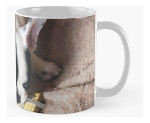 Taza Perro Cachorro Mascota Animales Regalo De Navidad Calid