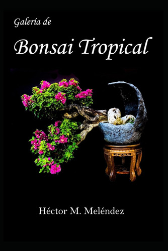 Libro: Galería Bonsai Tropical (libros Bonsai Tropical