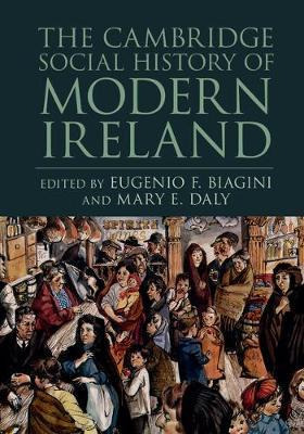 Libro The Cambridge Social History Of Modern Ireland - Eu...