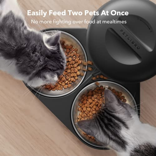 Alimentador Automático Dos Gatos, Dispensador De Comid...