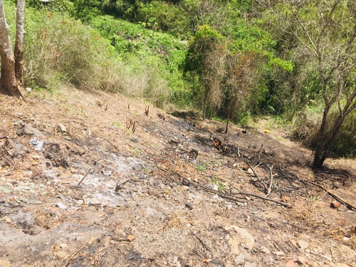 Imagen 2 de 8 de Se Vende Terreno 555m2 Colinas De Caicaguana 0780