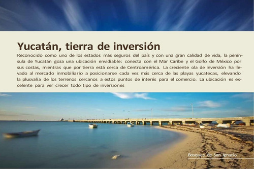 Imagen 3 de 11 de Terreno En Venta En Merida, Lote De Inversion, Bosques San I