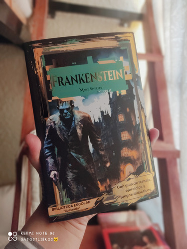 Frankenstein Mary Shelley Edición Para Niños De 6 A 12 Años