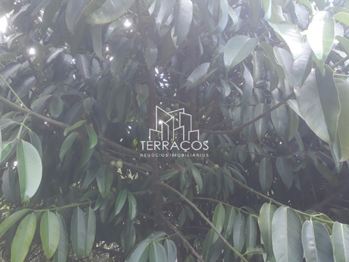 Imagem 15 de 30 de Sobrado Residencial Paineiras Em Itupeva - Sp - Ca00756 - 70392005